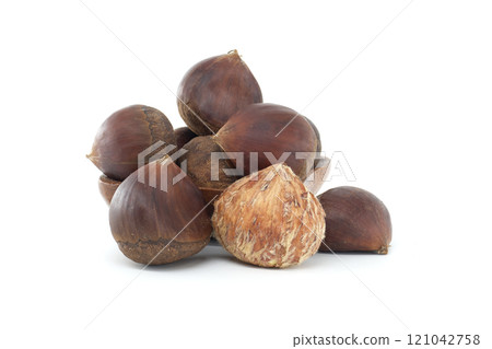 Delicious Chestnuts in a Natural Setting Isolated on White Background Delicious Chestnuts in a Natural Setting Isolated on White Background 121042758