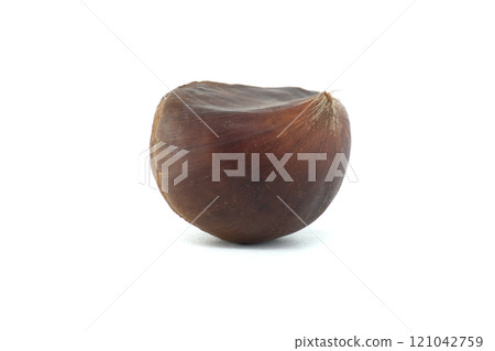 Fresh Spanish Chestnut Isolated on White Background 121042759