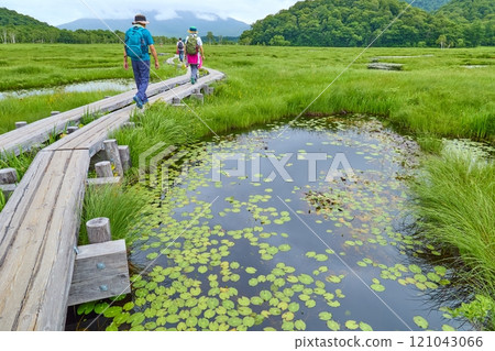 Summer in Gunma Prefecture, Oze: A view of the ponds of Kamitadaira and the Ushiku area Summer in Gunma Prefecture, Oze: A view of the ponds of Kamitadaira and the Ushiku area 121043066