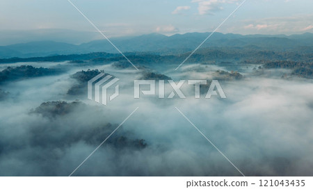 Aerial view of forest and morning fog in a tropical rainforest in Asia 121043435