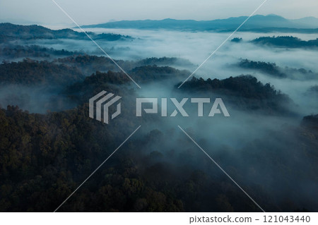 Aerial view of forest and morning fog in a tropical rainforest in Asia 121043440