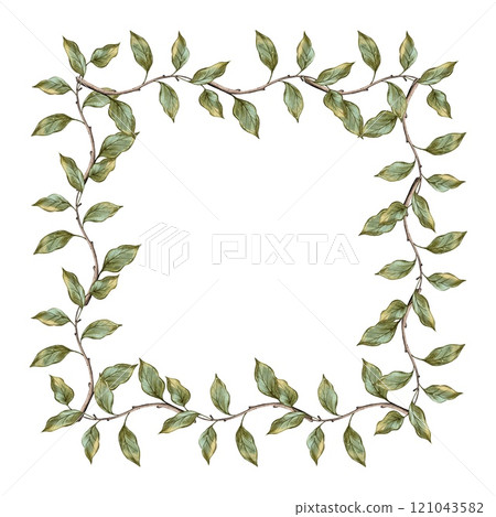 Square, rectangular frame of branches and green leaves Square, rectangular frame of branches and green leaves 121043582