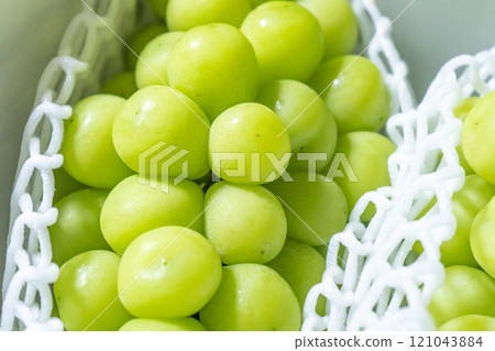 Shine Muscat close-up Shine Muscat close-up 121043884