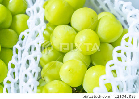 Shine Muscat close-up 121043885