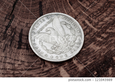 Old US silver dollar coin 121043989