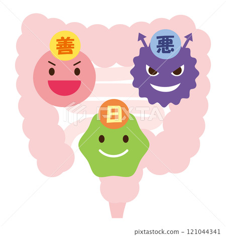 腸道細菌：好菌、壞菌、機會細菌 121044341
