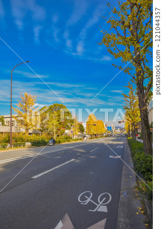 Autumn in Kyoto City Hyakumanben: Streets around Kyoto University 121044357