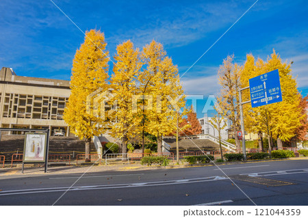 Autumn in Kyoto City Hyakumanben: Streets around Kyoto University 121044359
