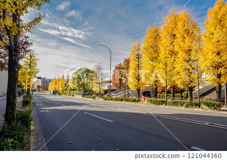 Autumn in Kyoto City Hyakumanben: Streets around Kyoto University Autumn in Kyoto City Hyakumanben: Streets around Kyoto University 121044360