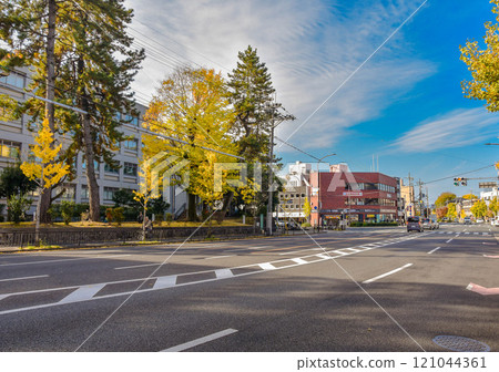 秋天的京都市百萬便：京都大學週邊的街道 121044361