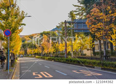 秋天的京都市百萬便：京都大學週邊的街道 121044362