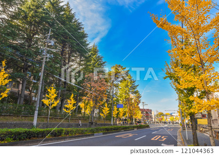 秋天的京都市百萬便：京都大學週邊的街道 121044363