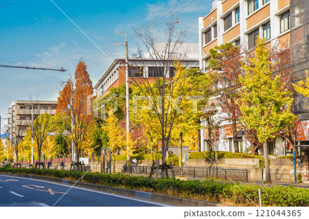Autumn in Kyoto City Hyakumanben: Streets around Kyoto University 121044365