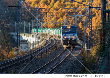 An EH200 electric locomotive and a train of Taki 1000 tank cars crossing an iron bridge with a yellow larch forest in the background. 121044418