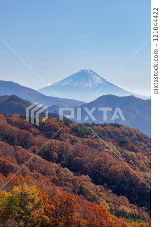 深秋時節，透過橡樹和落葉鬆的秋葉，從八岳高原大橋眺望富士山 121044422