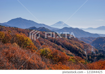Mt. Fuji seen from the Yatsugatake Kogen Ohashi Bridge through the autumn leaves of oak and larch trees in late autumn 121044425