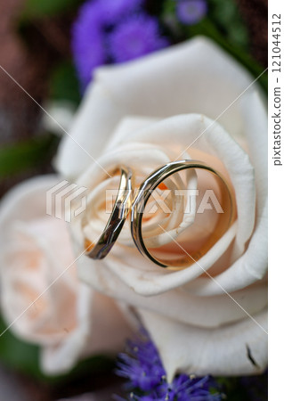 Discover Elegant Wedding Rings beautifully set against a delicate Cream Rose backdrop Discover Elegant Wedding Rings beautifully set against a delicate Cream Rose backdrop 121044512
