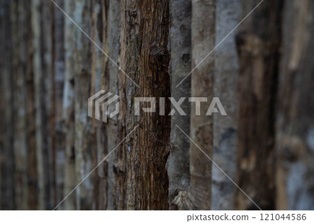 Close-up focus on a wooden surface showcasing intricate textures and warm colors. 121044586