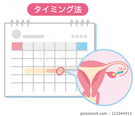 Infertility treatment, Infertility, Timing method, Marked calendar 121044913