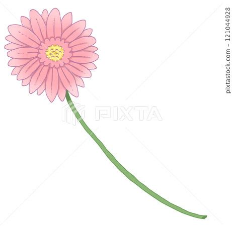 pink gerbera 121044928