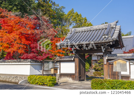西芳寺被紅葉包裹著（京都市北區西賀茂市） 121045466