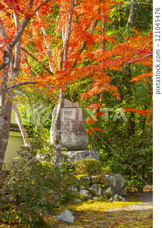 Saihoji Temple surrounded by autumn leaves (Nishigamo, Kita Ward, Kyoto City) 121045476