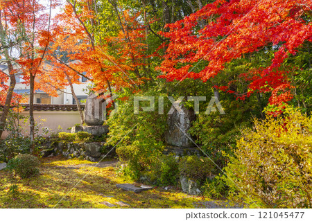 西芳寺被紅葉包裹著(京都市北區西賀茂市) 西芳寺被紅葉包裹著(京都市北區西賀茂市) 121045477