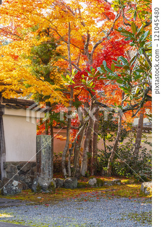 Saihoji Temple surrounded by autumn leaves (Nishigamo, Kita Ward, Kyoto City) Saihoji Temple surrounded by autumn leaves (Nishigamo, Kita Ward, Kyoto City) 121045480