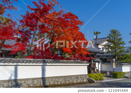 Saihoji Temple surrounded by autumn leaves (Nishigamo, Kita Ward, Kyoto City) 121045484