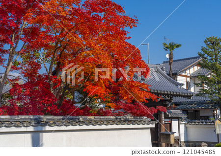 西芳寺被紅葉包裹著（京都市北區西賀茂市） 121045485