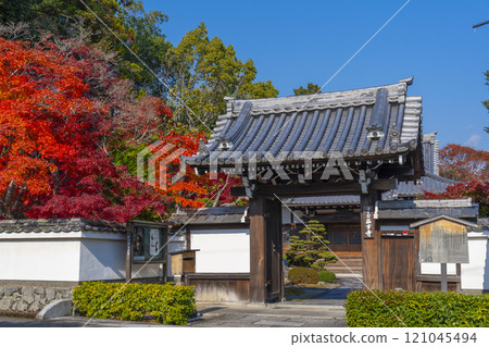 西芳寺被紅葉包裹著（京都市北區西賀茂市） 121045494