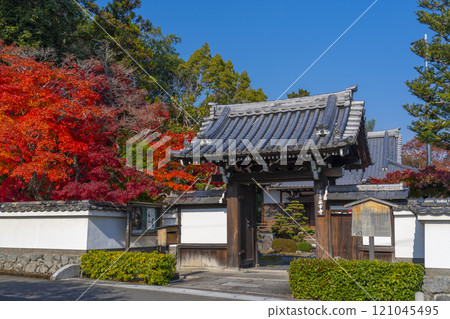 Saihoji Temple surrounded by autumn leaves (Nishigamo, Kita Ward, Kyoto City) Saihoji Temple surrounded by autumn leaves (Nishigamo, Kita Ward, Kyoto City) 121045495