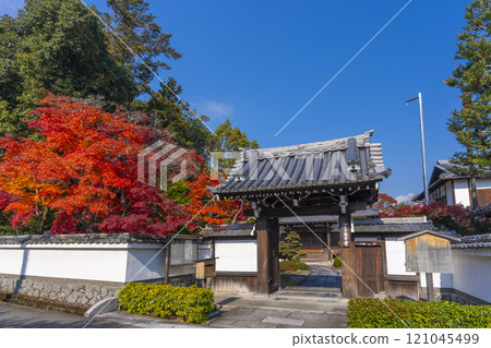 Saihoji Temple surrounded by autumn leaves (Nishigamo, Kita Ward, Kyoto City) 121045499