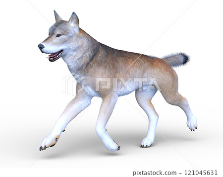 狼 121045631