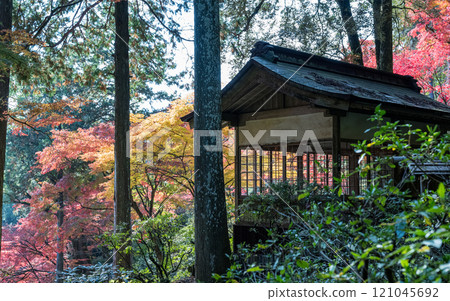A beautiful spot for viewing autumn leaves A beautiful spot for viewing autumn leaves 121045692