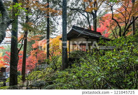 A beautiful spot for viewing autumn leaves 121045725