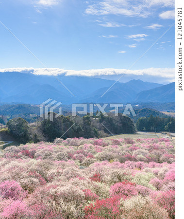 Inabe City Agricultural Park - Shangri-La 121045781