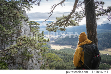Female hiker enjoying views on valley below from forest high above, Austria, Europe 121046941