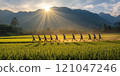 Group of runners doing a morning jog in the green rice fields and beautiful mountains. 121047246