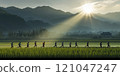 Group of runners doing a morning jog in the green rice fields and beautiful mountains. 121047247