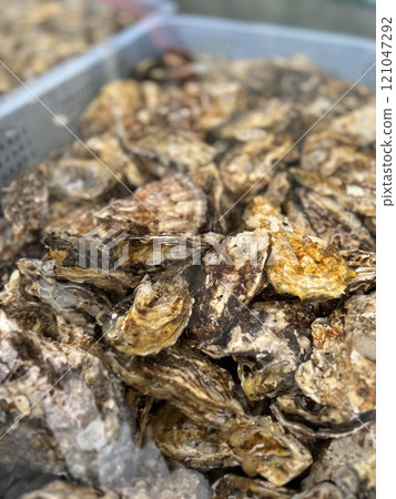 Oyster 121047292