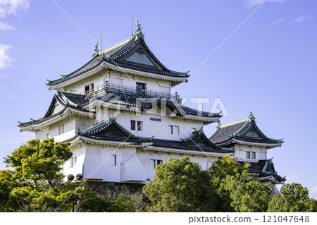 Wakayama Castle Tower (Wakayama City, Wakayama Prefecture) 121047648