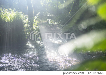 A scene of light shining on a clear stream in the forest - Oyamakiyazawa mountain stream A scene of light shining on a clear stream in the forest - Oyamakiyazawa mountain stream 121047666