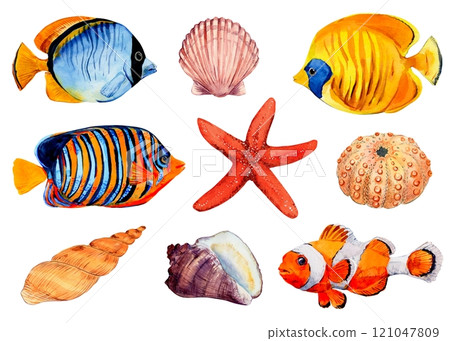 Watercolor set of seashells and fish on a white background. Inhabitants of coral reefs, tropical underwater animals. Bright elements for your menu, packaging, textiles or summer design. Watercolor set of seashells and fish on a white background. Inhabitants of coral reefs, tropical underwater animals. Bright elements for your menu, packaging, textiles or summer design. 121047809