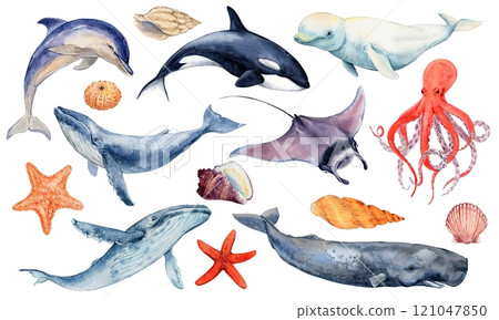Watercolor set of inhabitants of the seas and oceans. 121047850