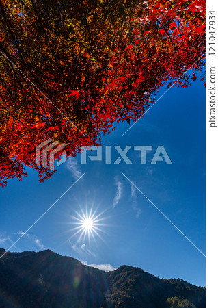 紅楓藍天復制空間 紅楓藍天復制空間 121047934