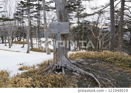 Southern Alps, deep south, 2,000 meters south of Japan Southern Alps, deep south, 2,000 meters south of Japan 121048019