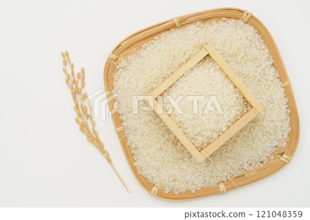 White rice and ear rice White rice and ear rice 121048359