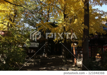 I walked through the shrine grounds 121048388