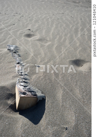 海岸線沙地景觀 121048410